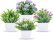 Artificial Desk Plant