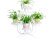 Plant Stand
