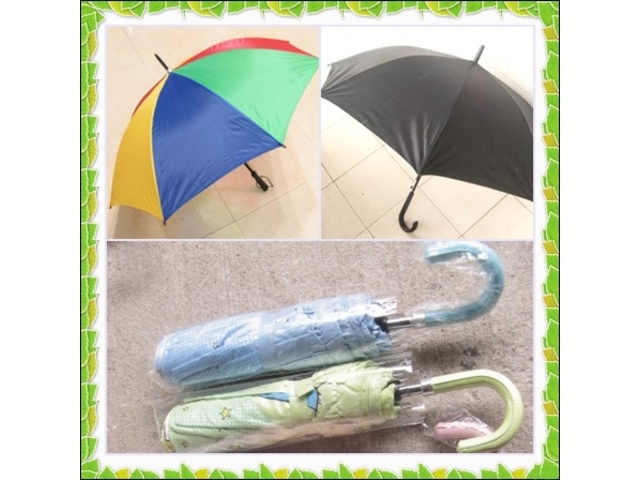 Rainy Umbrella