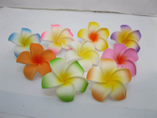 Foam Flower