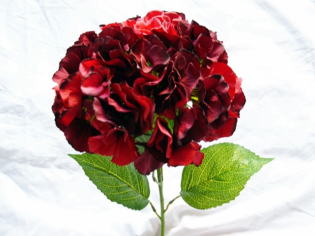 1X Dark Red Hydrangea Stem Wedding Flower Favor 1X Dark Red Hydrangea Stem Wedding Flower Favor