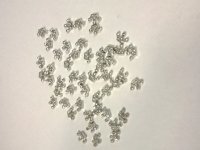 50 pcs CROWN floating charm